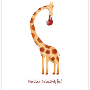 Postkaart - Hallo Kleintje