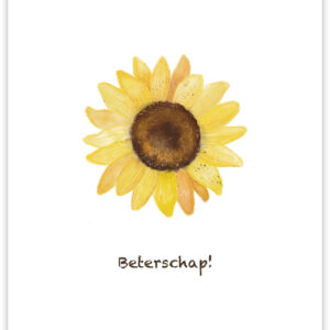 Postkaart - Beterschap