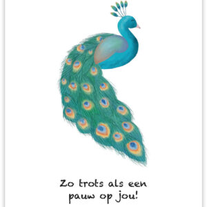 Postkaart - Trots