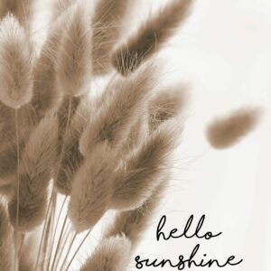 Tuinposter - Hello Sunshine