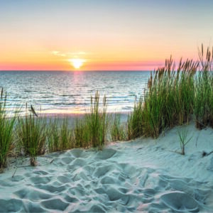 Tuinposter - Beach