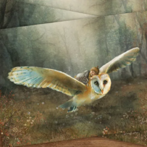 Postkaart - Dreamflight