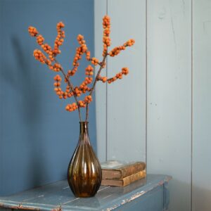 Bes Ilex  Oranje