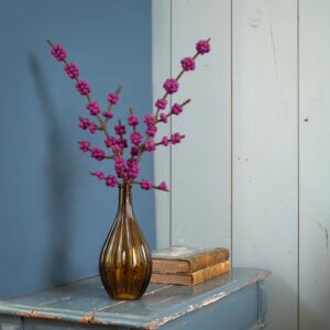 Callicarpa Paars