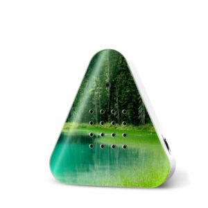 Relaxound - LakesideBox - Forest lake