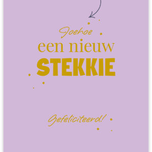 Postkaart - Nieuw Stekkie