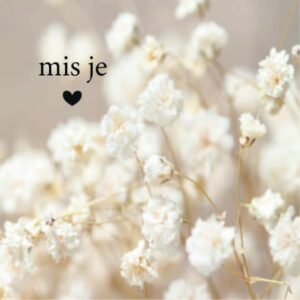 Forextegeltje -  Mis je