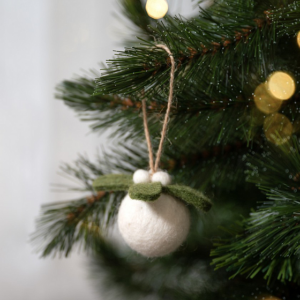 Bal met Mistletoe takje bovenop
