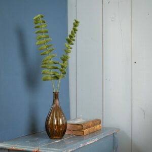 Eucalyptus