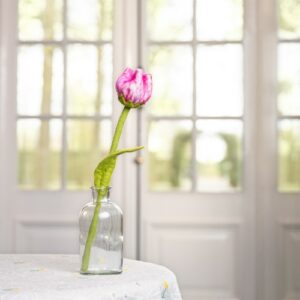 Tulp "Flora"