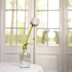 Tulp "Livia"