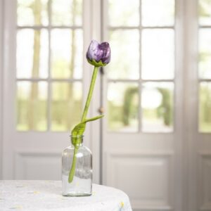 Tulp "Pipa"