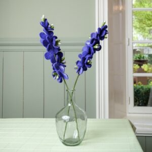 Ridderspoor - Blauw