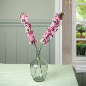 Ridderspoor - Roze
