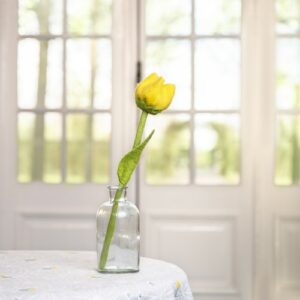 Tulp "Gwen"