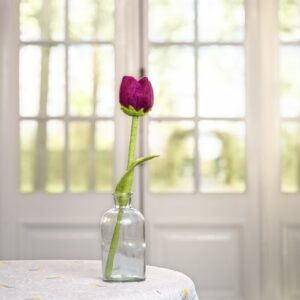 Tulp "Mila"