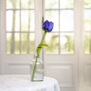 Tulp "Pleun"