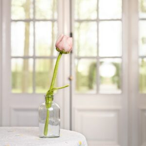 Tulp "Zoe"
