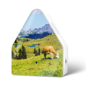 Relaxound - HeidiBox - Alpine Meadow