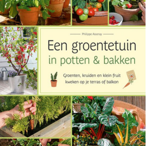 Een groentetuin in potten & bakken