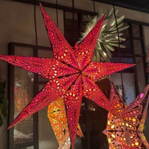 Starlightz - Indira Masala Fuchsia